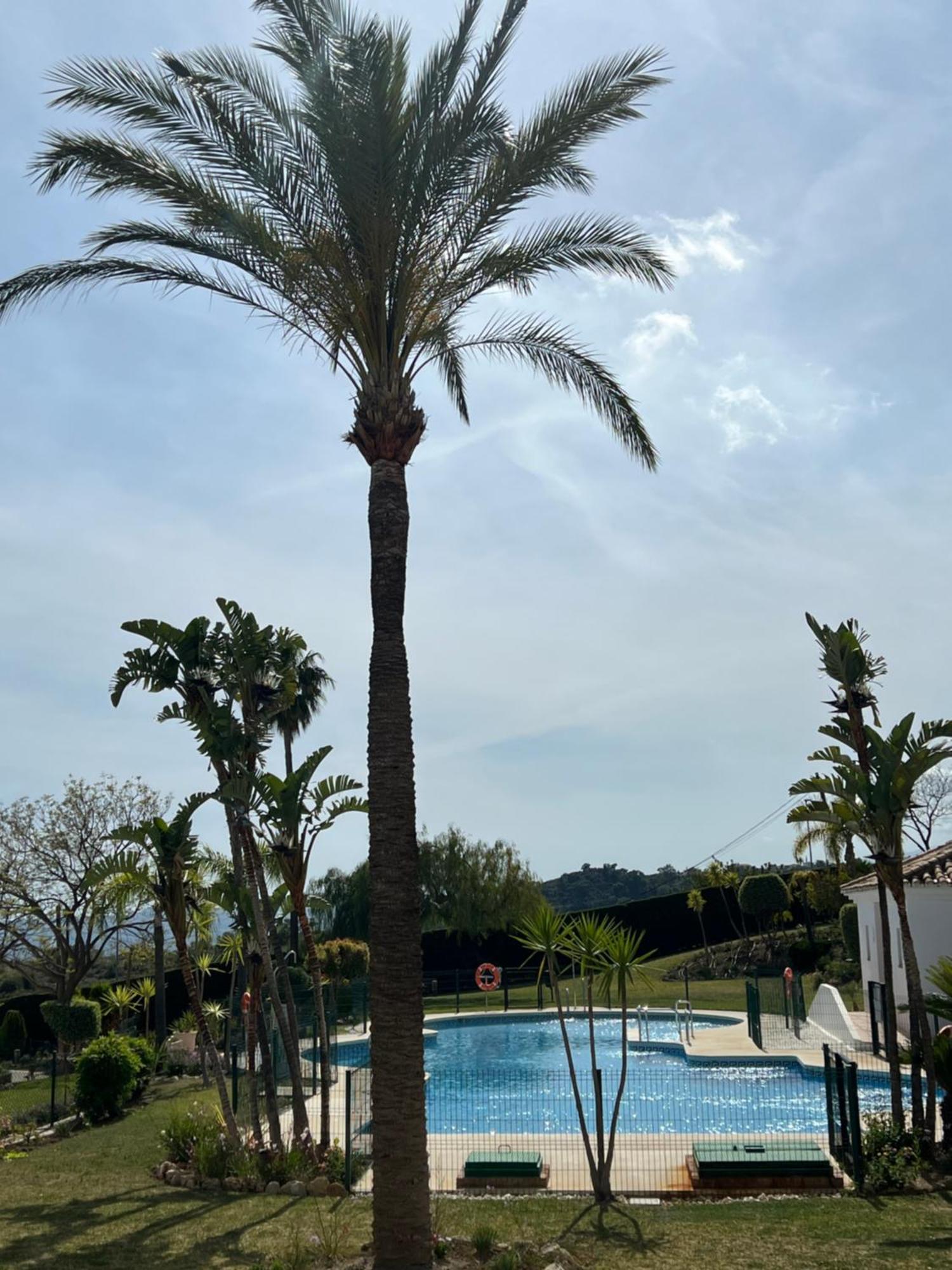 Finca San Antonio Two Bedroom Apartment With Swimming Pool Міхас Екстер'єр фото